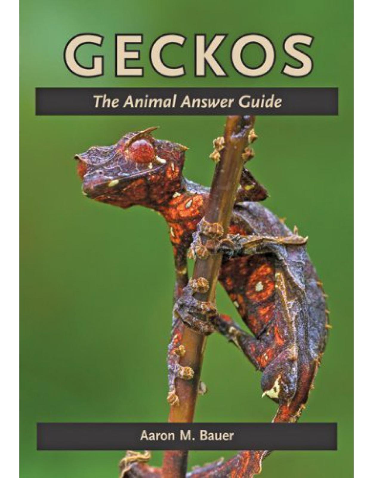 Geckos. The Animal Answer Guide