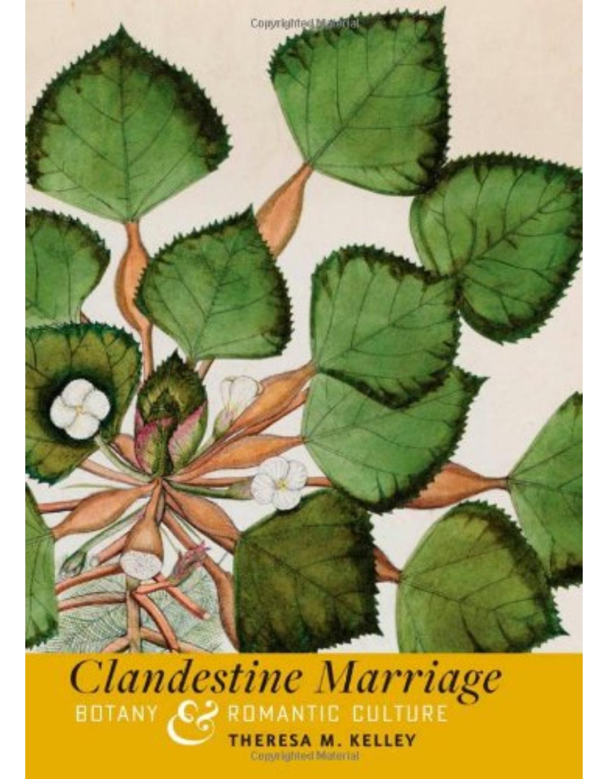 Clandestine Marriage. Botany and Romantic Culture