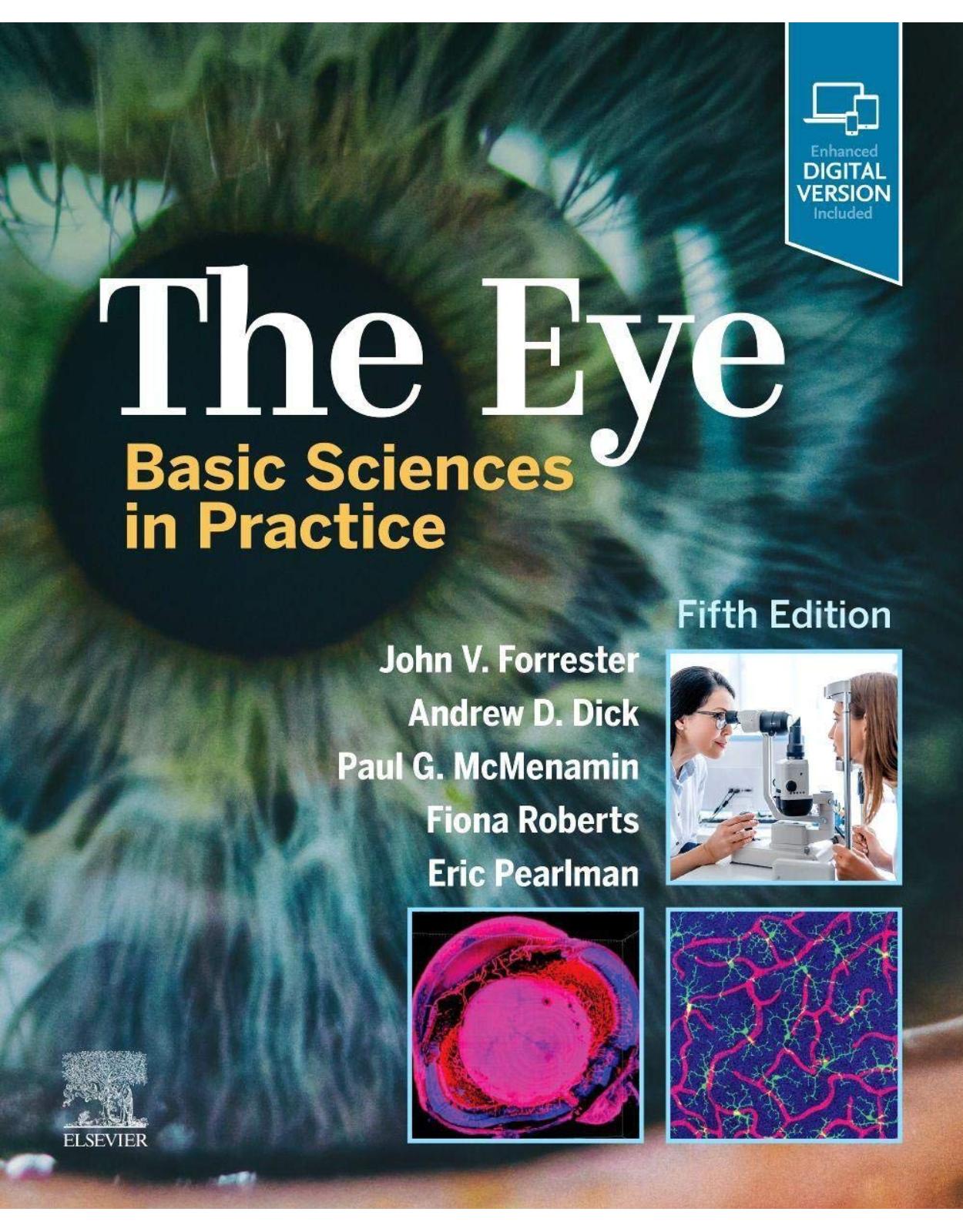 The Eye: Basic Sciences in Practice 