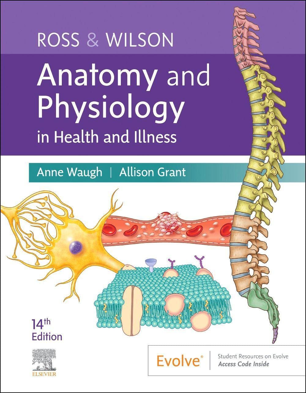 Coperta cărții "Ross &amp; Wilson Anatomy and Physiology in Health and Illness, 14th Edition" de autor necunoscut