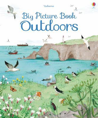 Coperta cărții "Big Picture Book Outdoors" de autor necunoscut