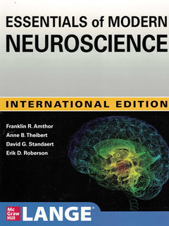 Coperta cărții "Essentials of Modern Neuroscience" de autor necunoscut