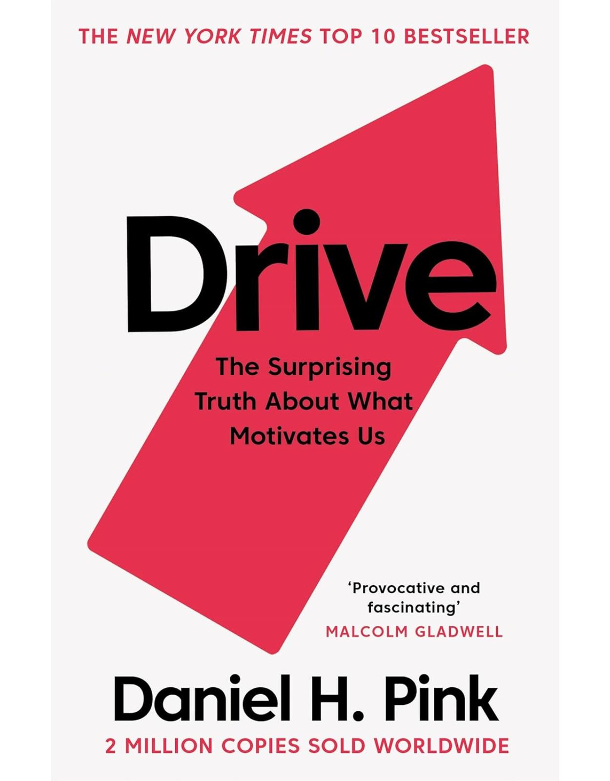 Drive: The Surprising Truth about What Motivates Us