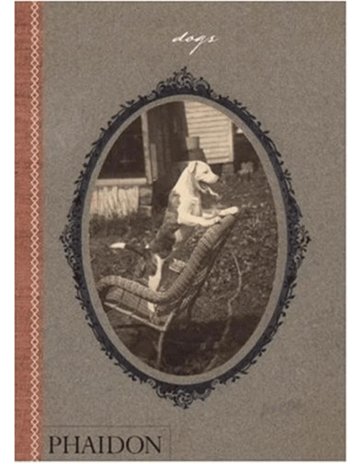 Dogs: Collected by Catherine Johnson Words by William Wegman