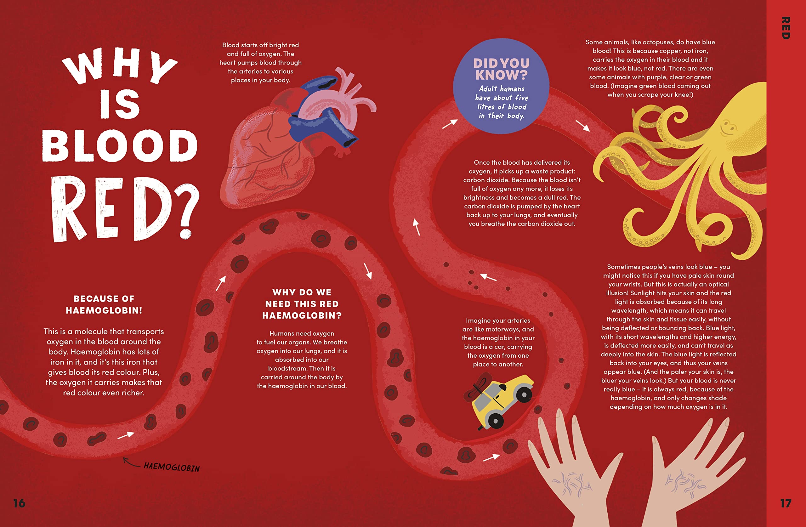 Coperta cărții "Can You Get Rainbows in Space?" de autor necunoscut