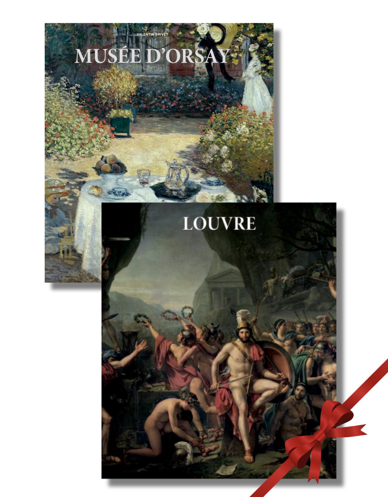 Pachet artă - Muzee din Franța (Două albume de artă) 